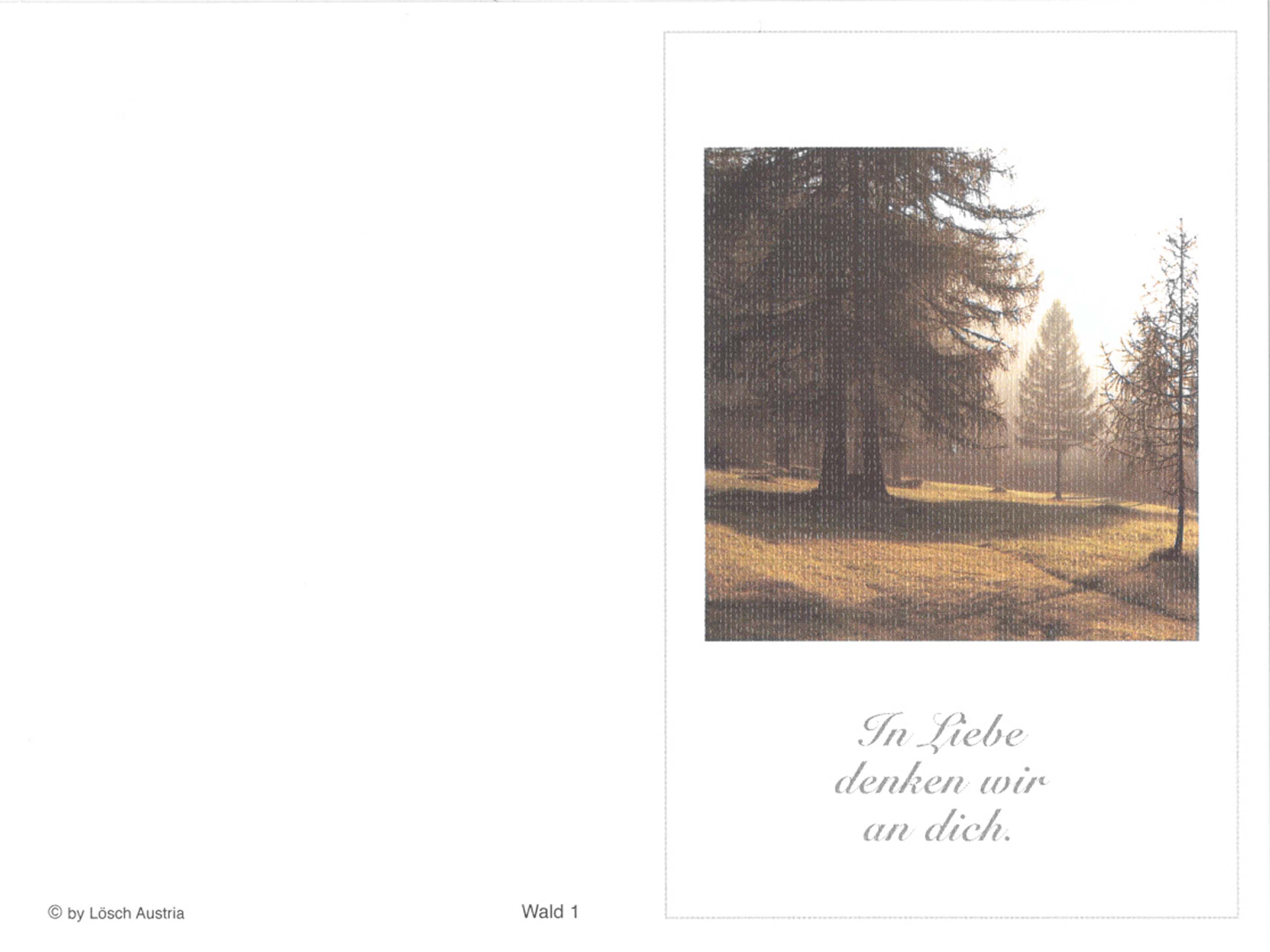 Wald 1